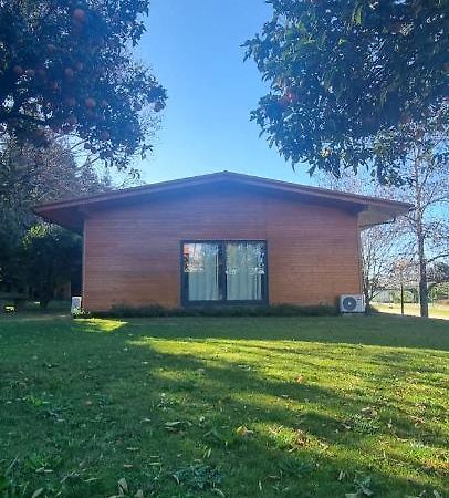 Pensjonat Casa Da Ferreirinha Faldejaes Zewnętrze zdjęcie