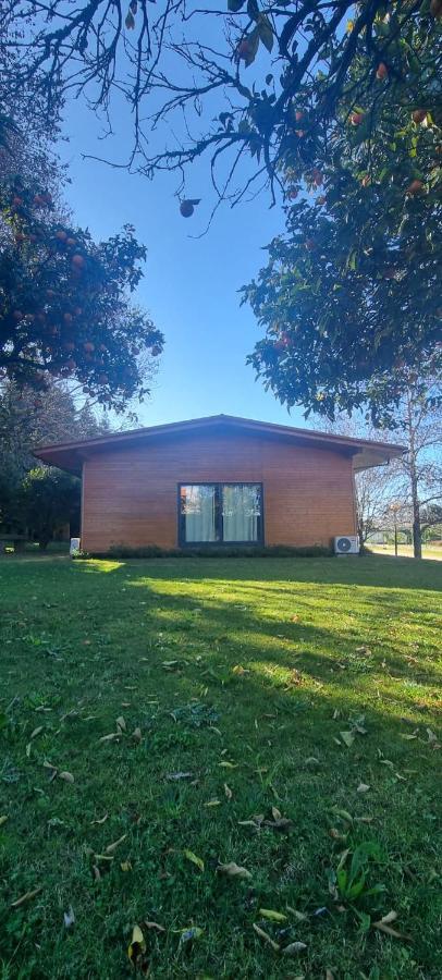 Pensjonat Casa Da Ferreirinha Faldejaes Zewnętrze zdjęcie